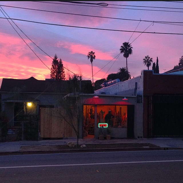 Cactus Store | Sibylle.life